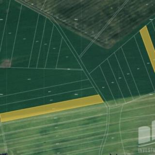 Prodej zemědělské půdy 2 906 m² Pardubice Mnětice