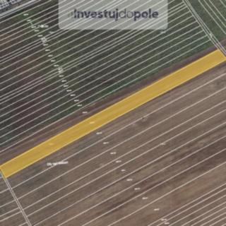 Prodej zemědělské půdy 10035 m² Prušánky