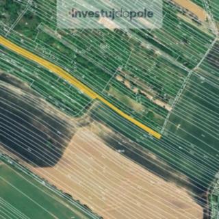 Prodej louky 3740 m² Klobouky u Brna