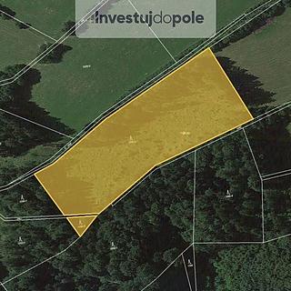 Prodej lesa 13 509 m² Cotkytle