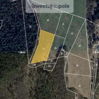 Prodej louky 2841 m² Králův Dvůr