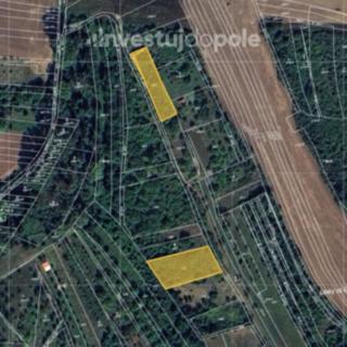 Prodej zemědělské půdy 2 398 m² Svatobořice-Mistřín Svatobořice