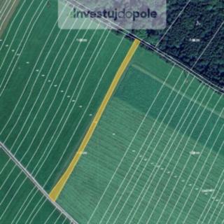 Prodej zemědělské půdy 2 490 m² Vsetín