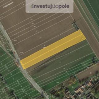 Prodej zemědělské půdy 7284 m² Předín