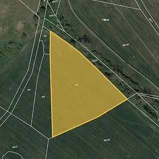 Prodej zemědělské půdy 6388 m² Brodce