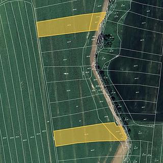 Prodej zemědělské půdy 8 120 m² Nová Ves