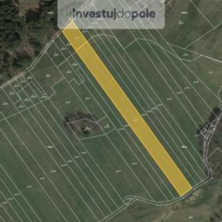 Prodej zemědělské půdy 4 447 m² Benešov
