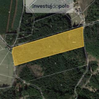 Prodej lesa 4 100 m² Milevsko Klisín