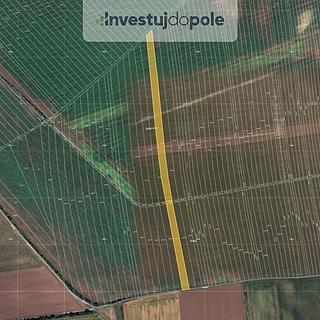 Prodej zemědělské půdy 8 042 m² Břeclav Poštorná