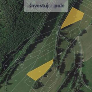 Prodej zemědělské půdy 8 266 m² Ruda nad Moravou Hrabenov