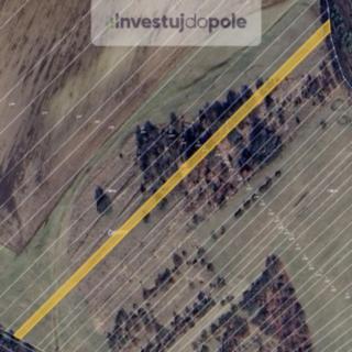 Prodej louky 2 946 m² Pašovice