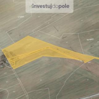 Prodej zemědělské půdy 12 319 m² Hracholusky