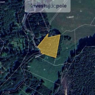 Prodej lesa 4042 m² Prosíčka