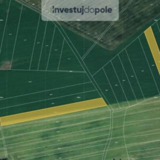 Prodej podílu zemědělské půdy 2906 m² Pardubice
