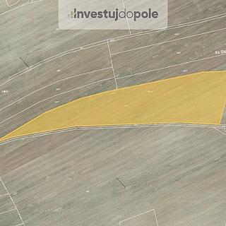 Prodej zemědělské půdy 13 258 m² Hřebečníky Novosedly