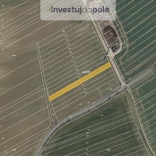Prodej zemědělské půdy 1249 m² Moravany