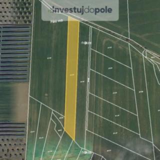 Prodej zemědělské půdy 2 012 m² Lešany Břežany