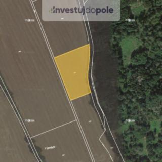 Prodej zemědělské půdy 5105 m² Černíkov