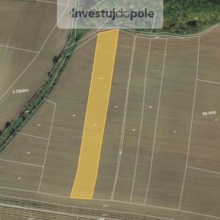 Prodej zemědělské půdy 6 341 m² Mutějovice