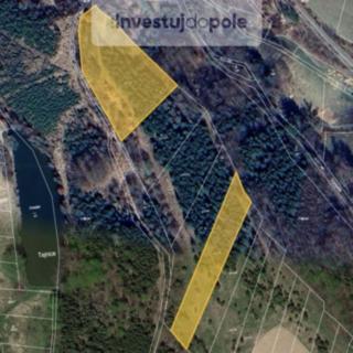Prodej zemědělské půdy 2 145 m² Zásmuky Nesměň