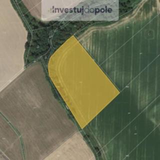 Prodej zemědělské půdy 14 151 m² Odry Vítovka