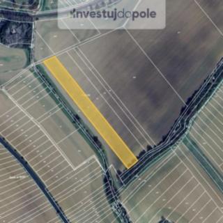 Prodej zemědělské půdy 1 997 m² Šelešovice