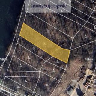 Prodej lesa 3 333 m² Mělník