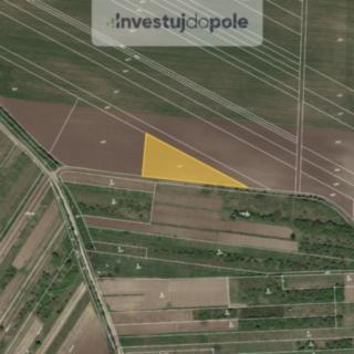 Prodej zemědělské půdy 2 007 m² Starovičky