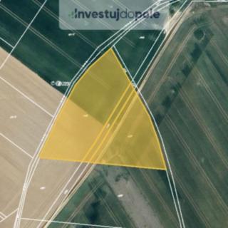 Prodej zemědělské půdy 6 029 m² Zborovice