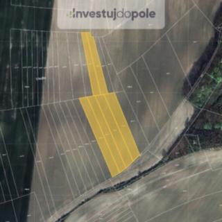 Prodej zemědělské půdy 12498 m² Olovnice