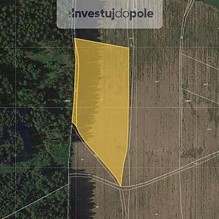 Prodej zemědělské půdy 15 779 m² Mříčná