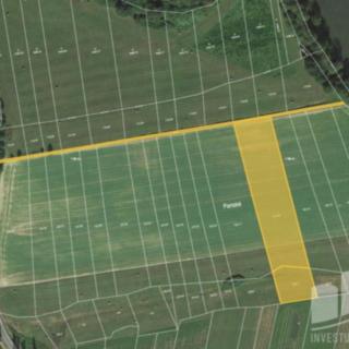 Prodej zemědělské půdy 1 503 m² Neurazy Vojovice