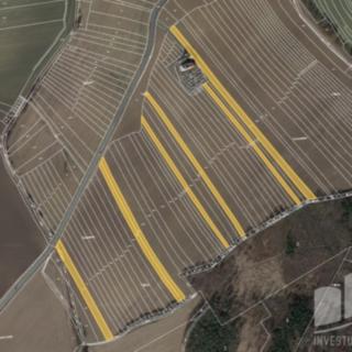 Prodej zemědělské půdy 20 175 m² Roštín