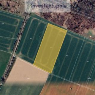 Prodej zemědělské půdy 9205 m² Křížkový Újezdec