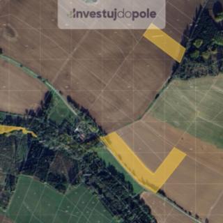 Prodej podílu zemědělské půdy 3048 m² Želiv