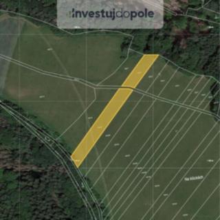 Prodej zemědělské půdy 3311 m² Nosálov