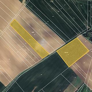 Prodej zemědělské půdy 23 194 m² Prusy-Boškůvky