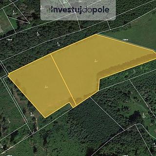 Prodej louky 16 757 m² Velký Vřešťov