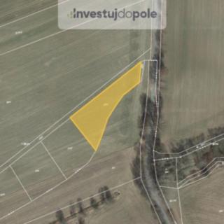 Prodej zemědělské půdy 2 081 m² Radíč Dubliny