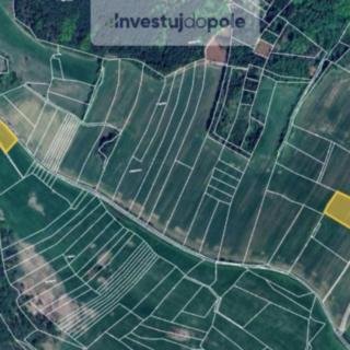 Prodej zemědělské půdy 7300 m² Zavlekov