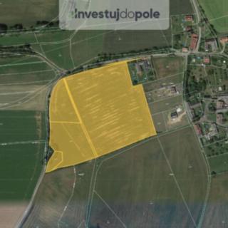 Prodej zemědělské půdy 36 722 m² Chvalkovice Střeziměřice