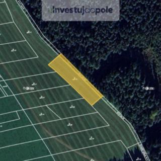 Prodej louky 1 237 m² Dlouhá Třebová