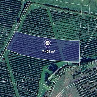 Prodej zemědělské půdy 3 705 m² Liběšice Dolní Řepčice