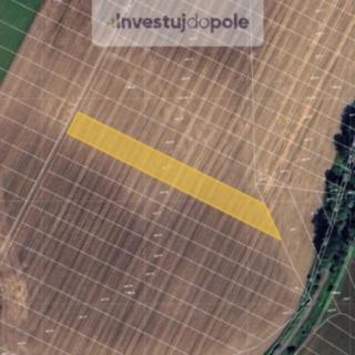 Prodej zemědělské půdy 2 555 m² Dubňany