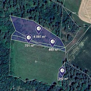 Prodej lesa 5 800 m² Čepřovice