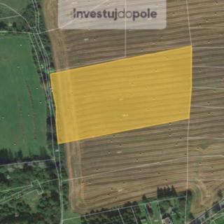 Prodej zemědělské půdy 17 343 m² Neurazy Soběsuky