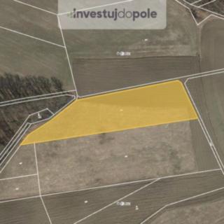 Prodej zemědělské půdy 584 m² Kotopeky Tihava