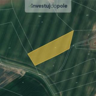 Prodej zemědělské půdy 7 290 m² Živanice