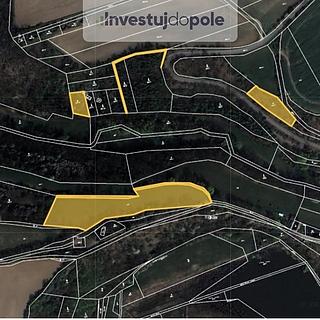 Prodej zemědělské půdy 11 051 m² Bojanovice Malá Lečice