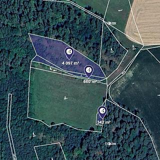 Prodej lesa 5 099 m² Čepřovice